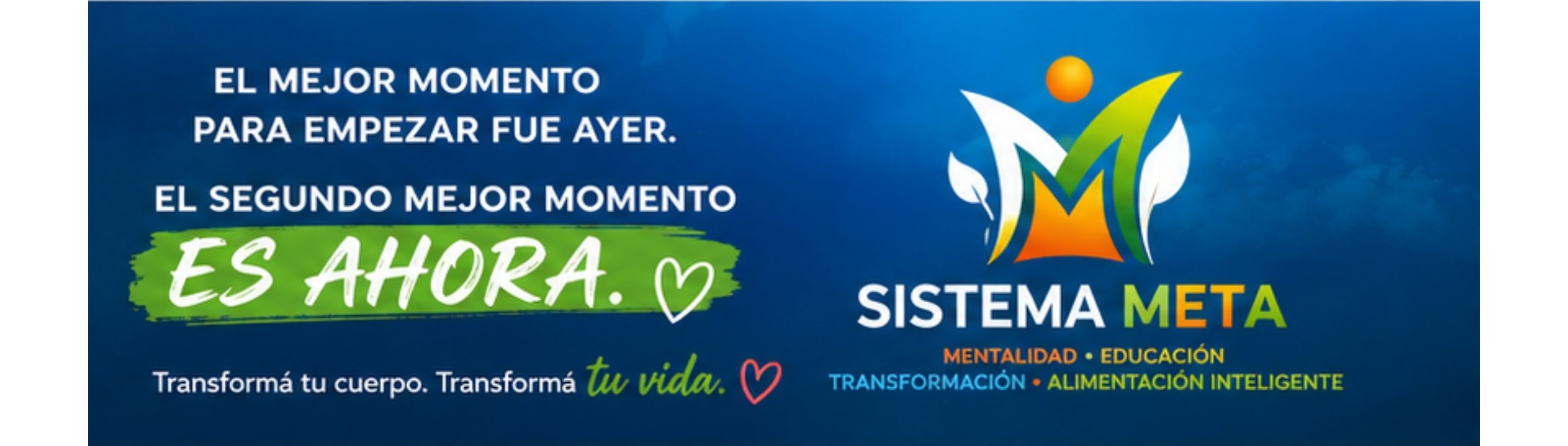 Sistema META — El mejor momento para empezar fue ayer